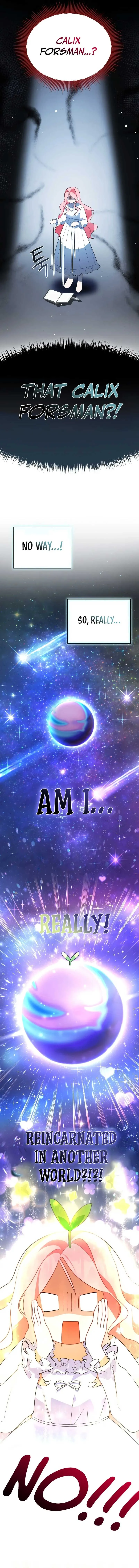 I Became a Tyrant’s Maid Chapter 2 Online - página 2
