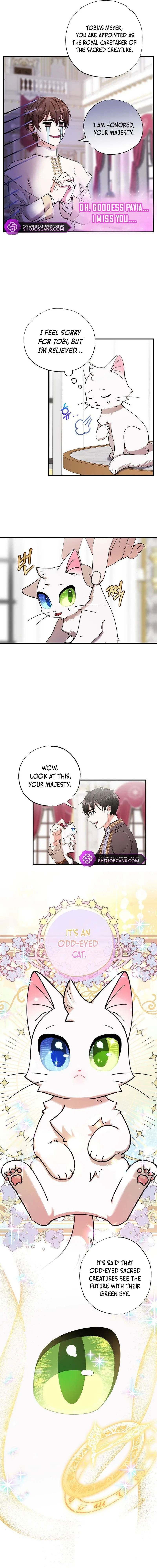 I Became the Emperor’s Cat Chapter 1 Online - página 11