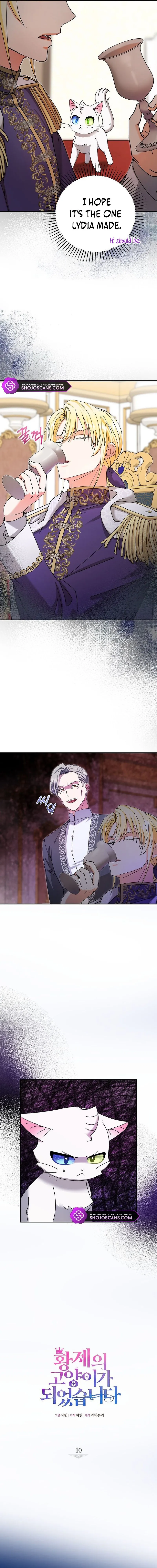 I Became the Emperor’s Cat Chapter 10 Online - página 7
