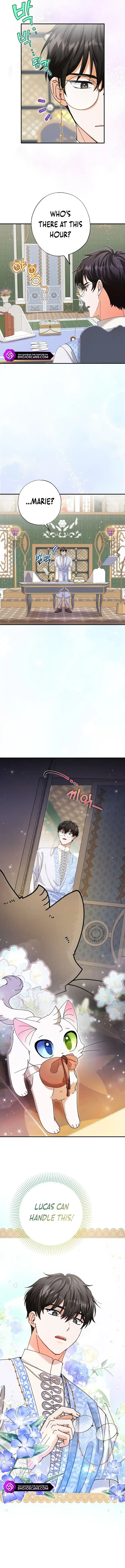 I Became the Emperor’s Cat Chapter 11 Online - página 7
