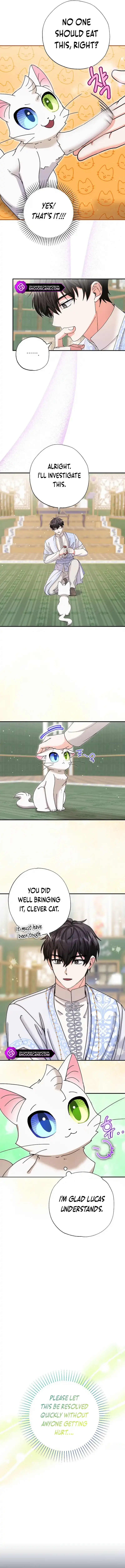 I Became the Emperor’s Cat Chapter 11 Online - página 10