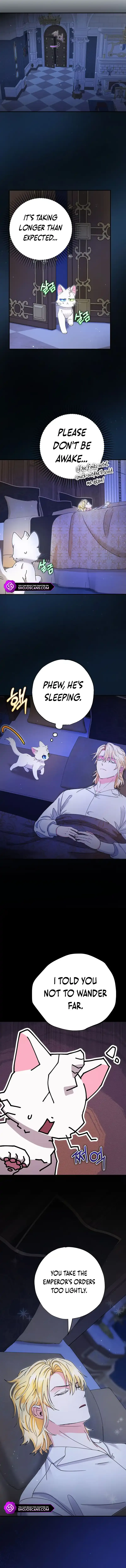I Became the Emperor’s Cat Chapter 11 Online - página 11
