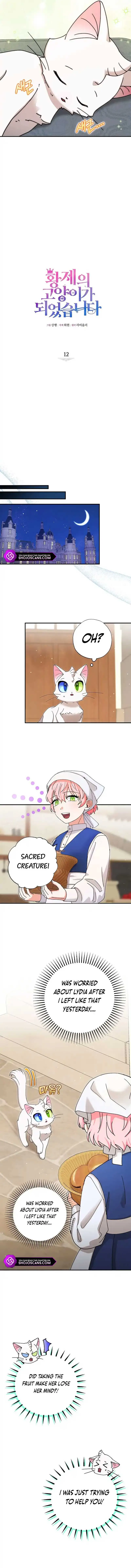 I Became the Emperor’s Cat Chapter 12 Online - página 5