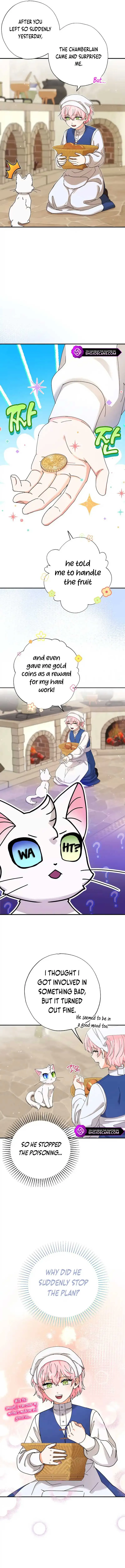 I Became the Emperor’s Cat Chapter 12 Online - página 6