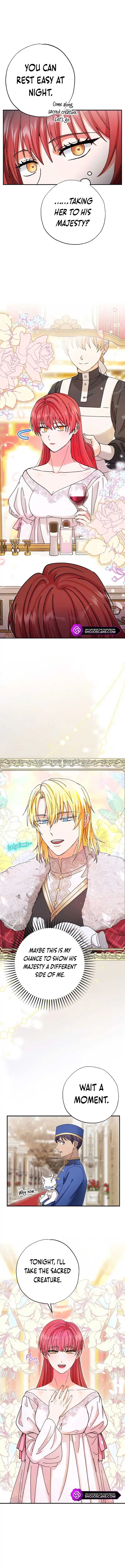I Became the Emperor’s Cat Chapter 13 Online - página 7