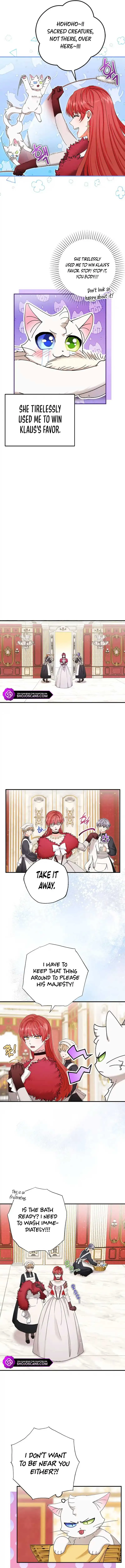 I Became the Emperor’s Cat Chapter 16 Online - página 5