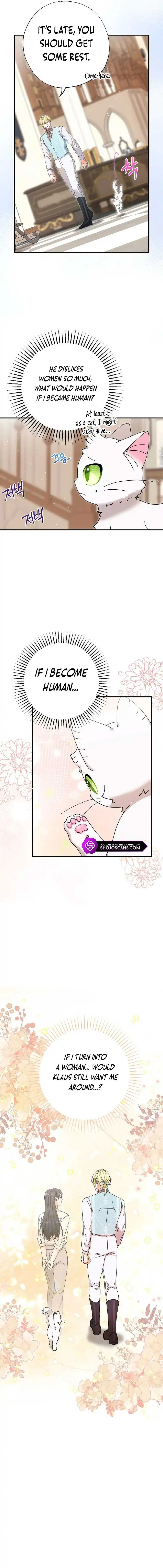 I Became the Emperor’s Cat Chapter 16 Online - página 10