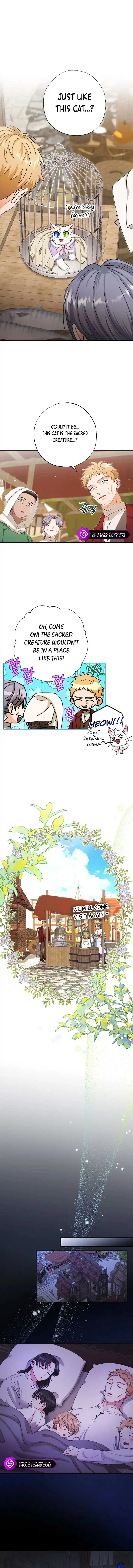 I Became the Emperor’s Cat Chapter 18 Online - página 6