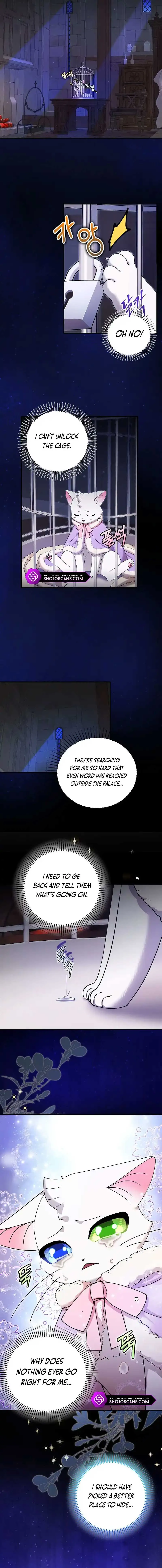 I Became the Emperor’s Cat Chapter 18 Online - página 7