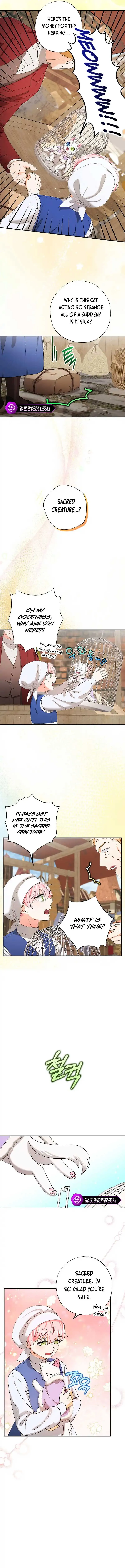 I Became the Emperor’s Cat Chapter 18 Online - página 10