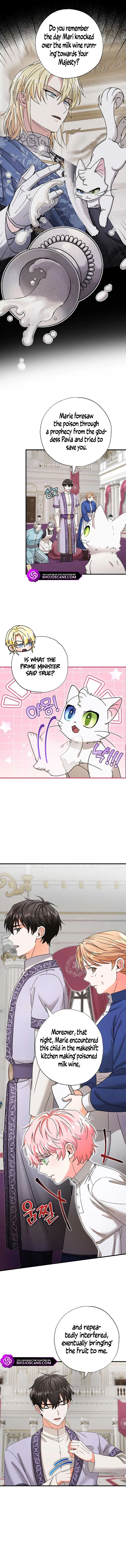 I Became the Emperor’s Cat Chapter 19 Online - página 4