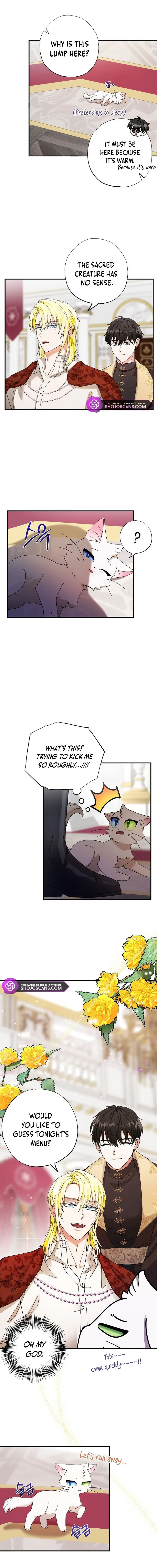 I Became the Emperor’s Cat Chapter 2 Online - página 9