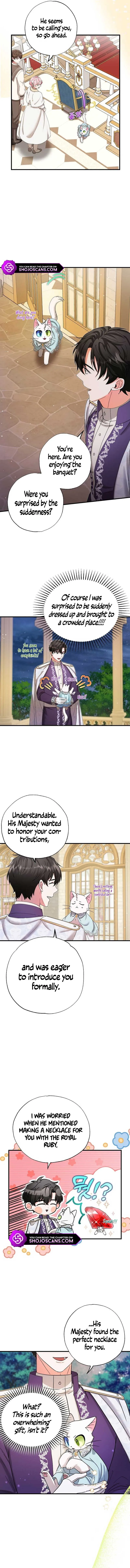 I Became the Emperor’s Cat Chapter 20 Online - página 9