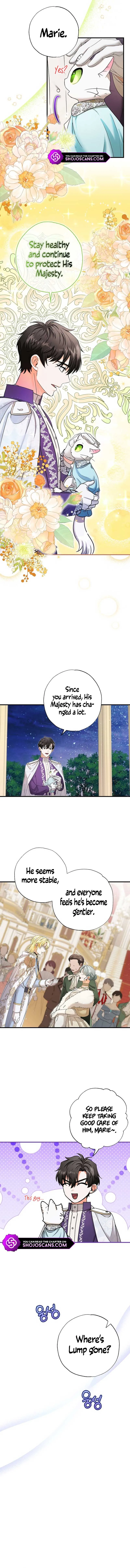 I Became the Emperor’s Cat Chapter 20 Online - página 10