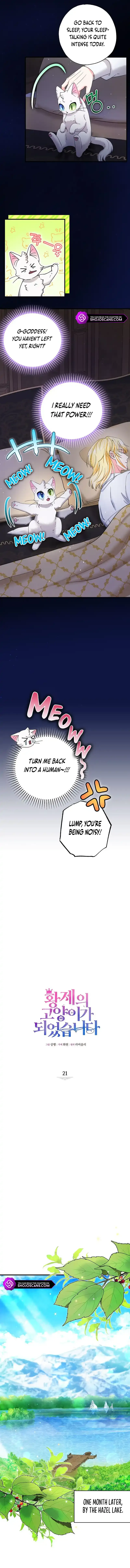 I Became the Emperor’s Cat Chapter 21 Online - página 2