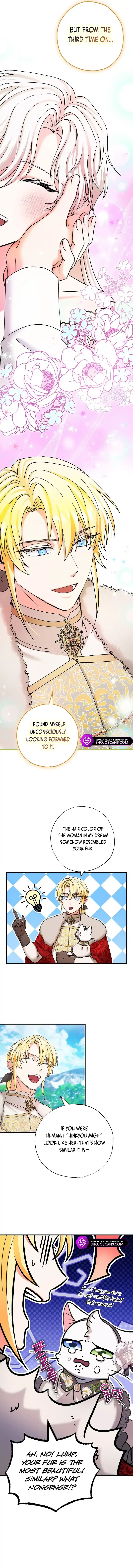 I Became the Emperor’s Cat Chapter 21 Online - página 7
