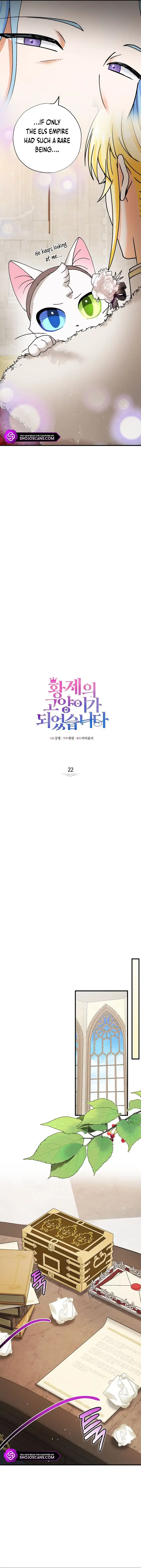 I Became the Emperor’s Cat Chapter 22 Online - página 3