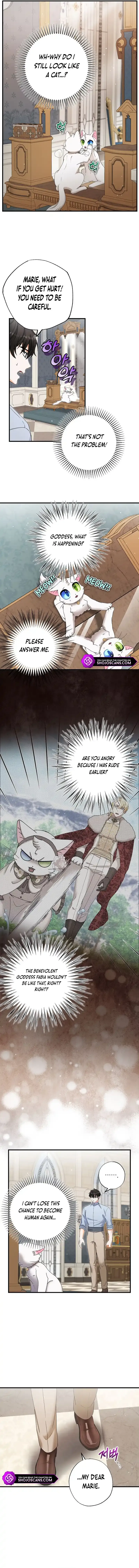 I Became the Emperor’s Cat Chapter 22 Online - página 8