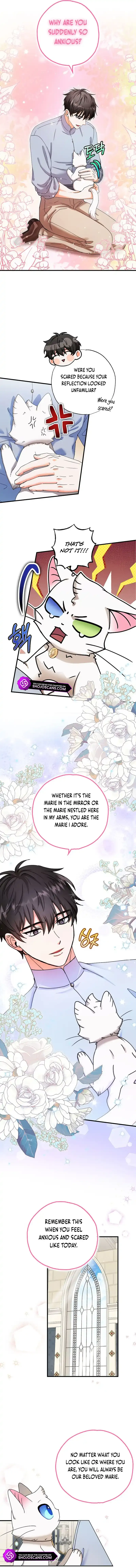 I Became the Emperor’s Cat Chapter 22 Online - página 9