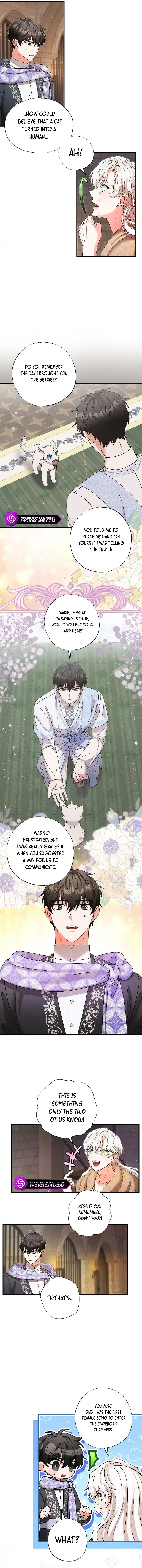 I Became the Emperor’s Cat Chapter 24 Online - página 10