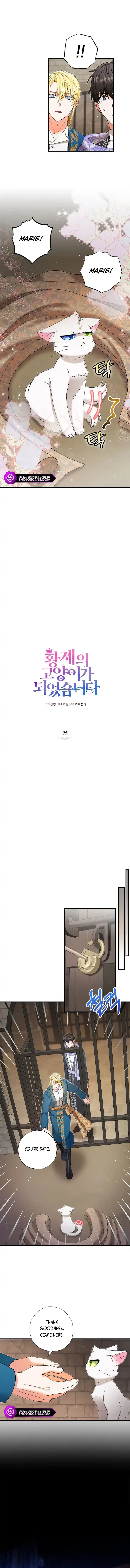 I Became the Emperor’s Cat Chapter 25 Online - página 3