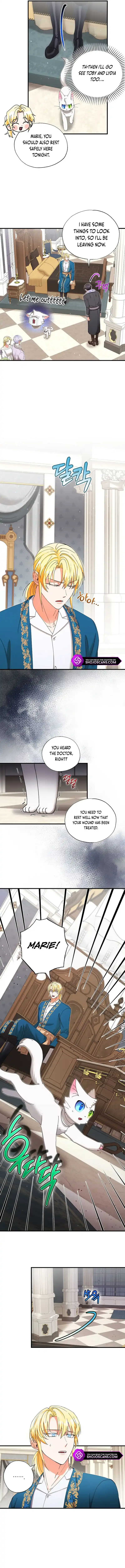 I Became the Emperor’s Cat Chapter 25 Online - página 8