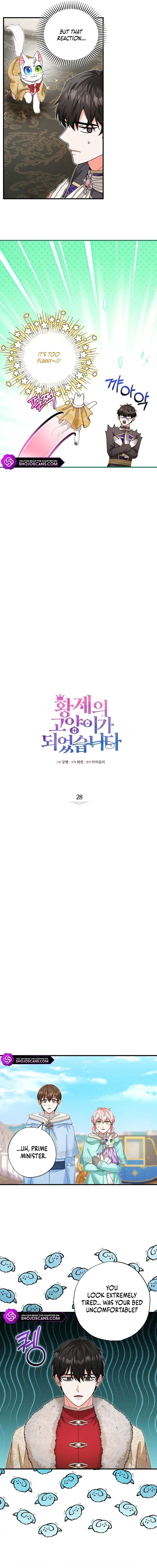 I Became the Emperor’s Cat Chapter 28 Online - página 5