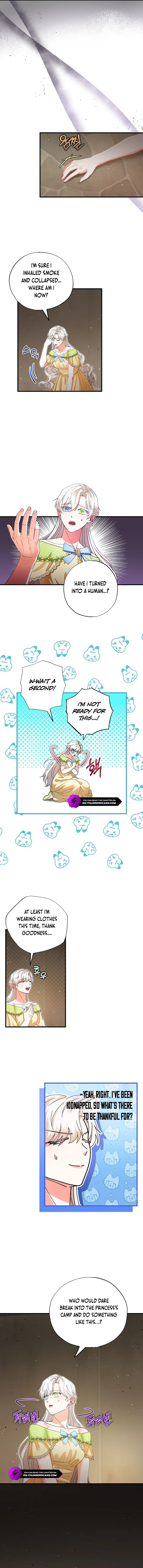 I Became the Emperor’s Cat Chapter 29 Online - página 8