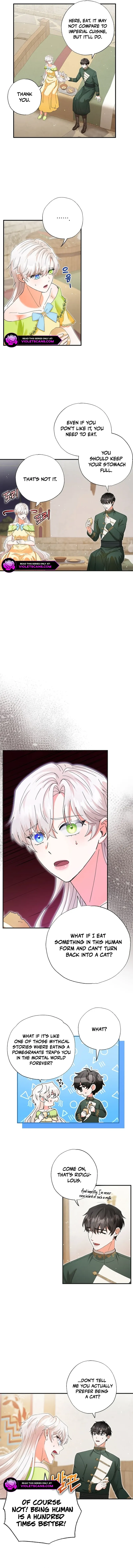 I Became the Emperor’s Cat Chapter 31 Online - página 6