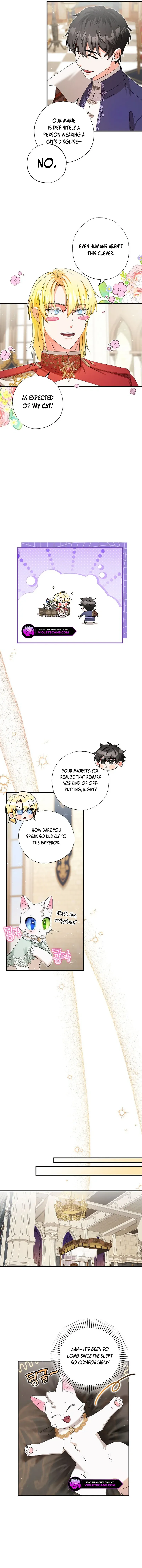 I Became the Emperor’s Cat Chapter 32 Online - página 9