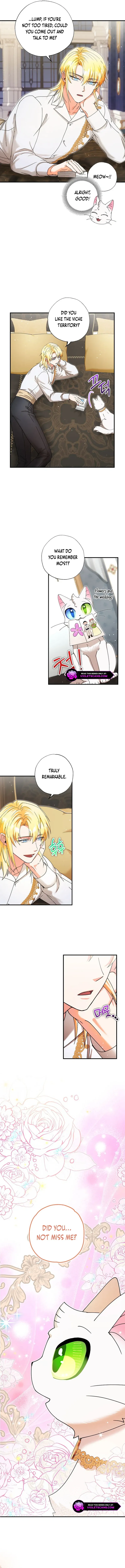 I Became the Emperor’s Cat Chapter 32 Online - página 10