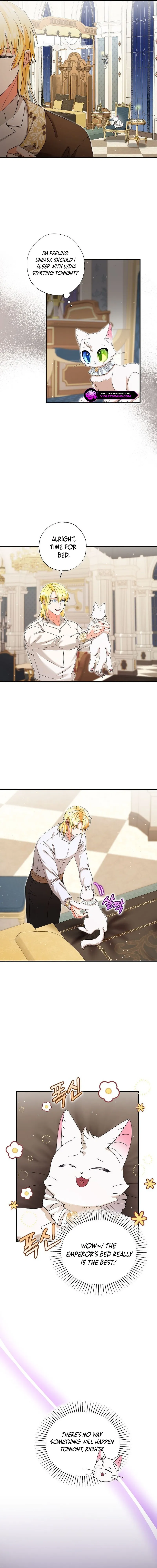 I Became the Emperor’s Cat Chapter 33 Online - página 9