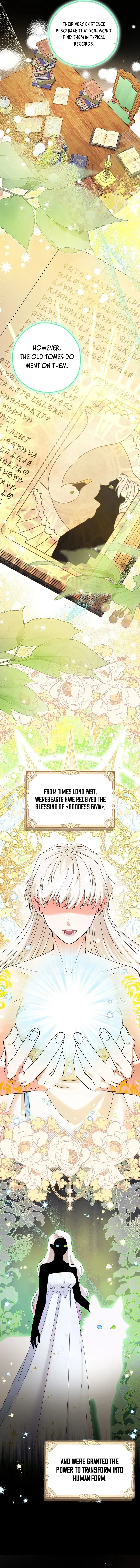 I Became the Emperor’s Cat Chapter 35 Online - página 6