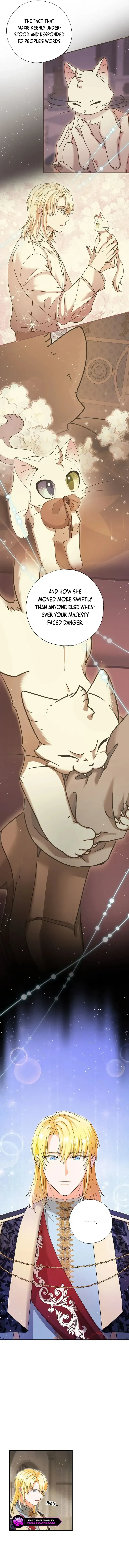 I Became the Emperor’s Cat Chapter 35 Online - página 8