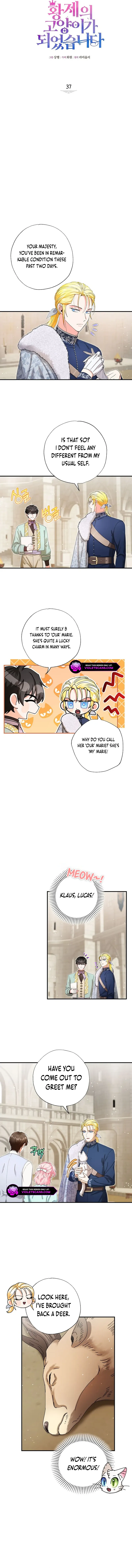 I Became the Emperor’s Cat Chapter 37 Online - página 2