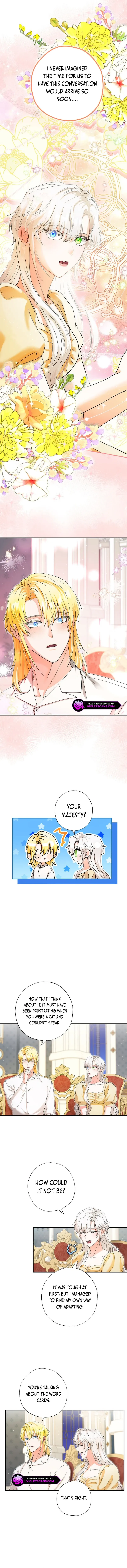 I Became the Emperor’s Cat Chapter 37 Online - página 9