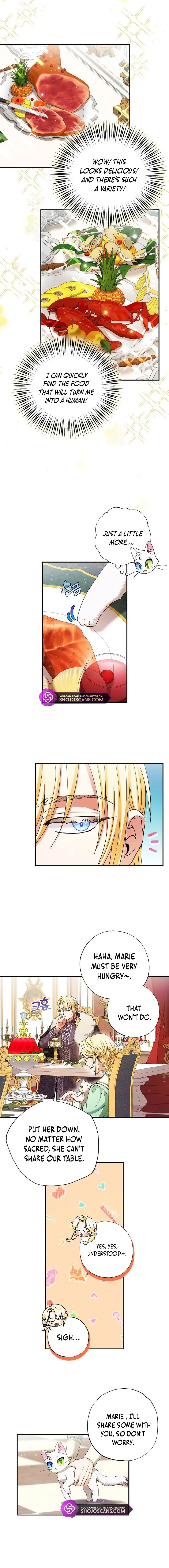 I Became the Emperor’s Cat Chapter 4 Online - página 3