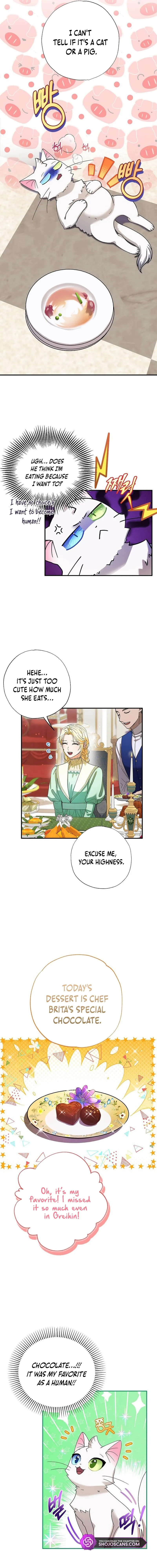 I Became the Emperor’s Cat Chapter 4 Online - página 5
