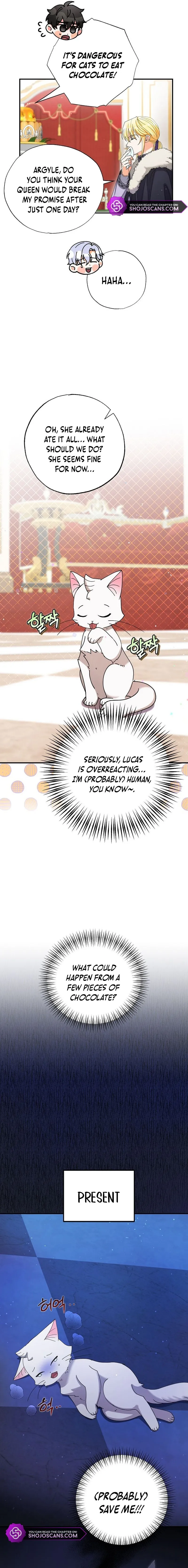 I Became the Emperor’s Cat Chapter 4 Online - página 7
