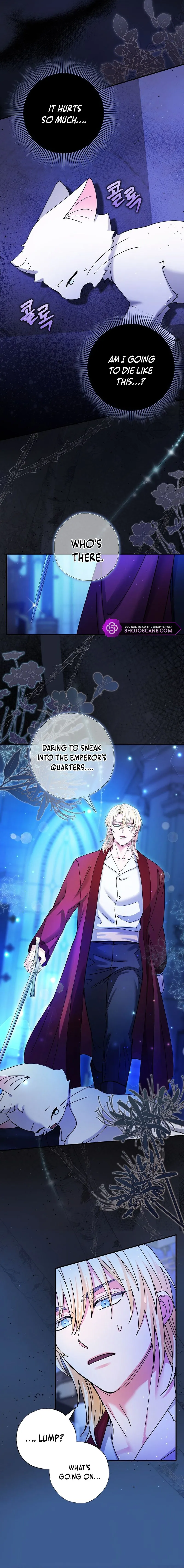 I Became the Emperor’s Cat Chapter 4 Online - página 8