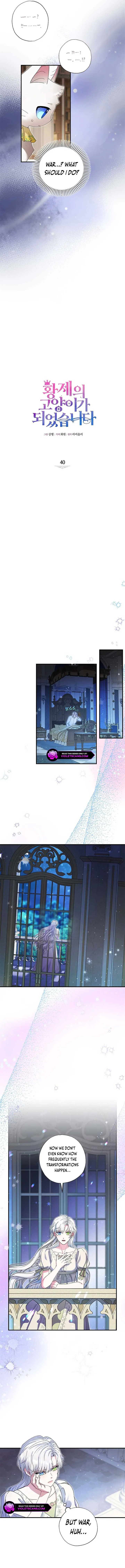 I Became the Emperor’s Cat Chapter 40 Online - página 5