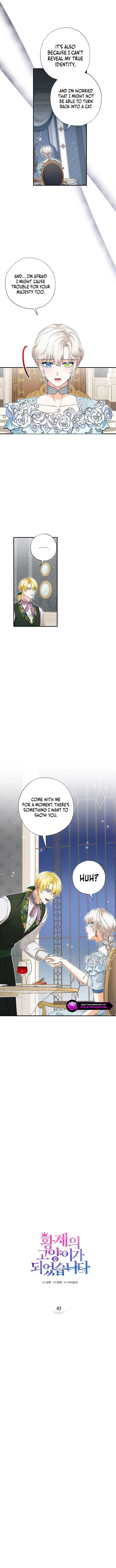 I Became the Emperor’s Cat Chapter 43 Online - página 3