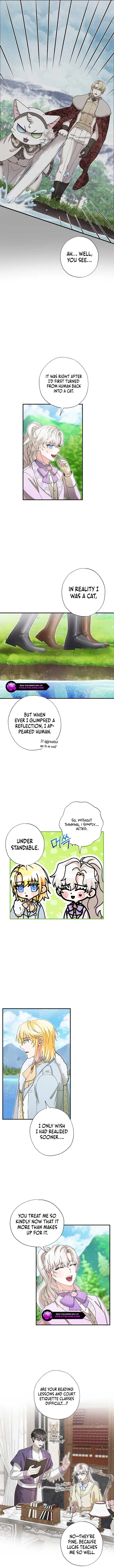 I Became the Emperor’s Cat Chapter 48 Online - página 8
