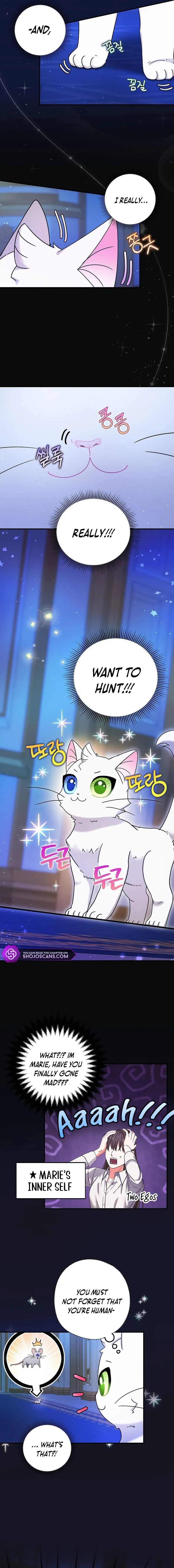 I Became the Emperor’s Cat Chapter 5 Online - página 13