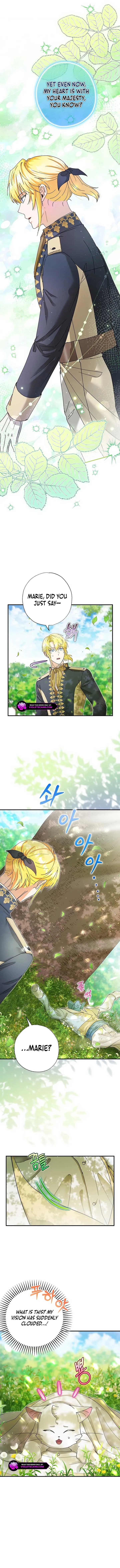 I Became the Emperor’s Cat Chapter 50 Online - página 5