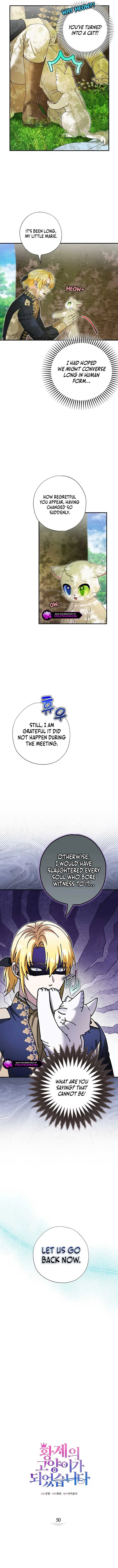 I Became the Emperor’s Cat Chapter 50 Online - página 6