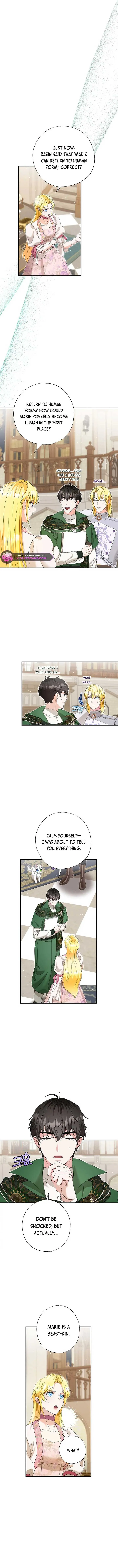 I Became the Emperor’s Cat Chapter 53 Online - página 2