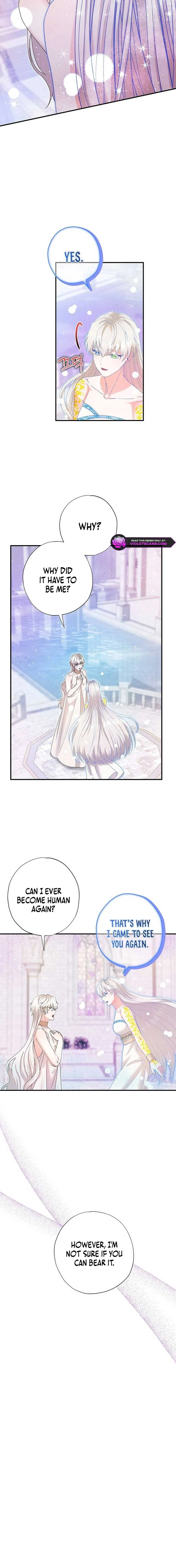 I Became the Emperor’s Cat Chapter 56 Online - página 3