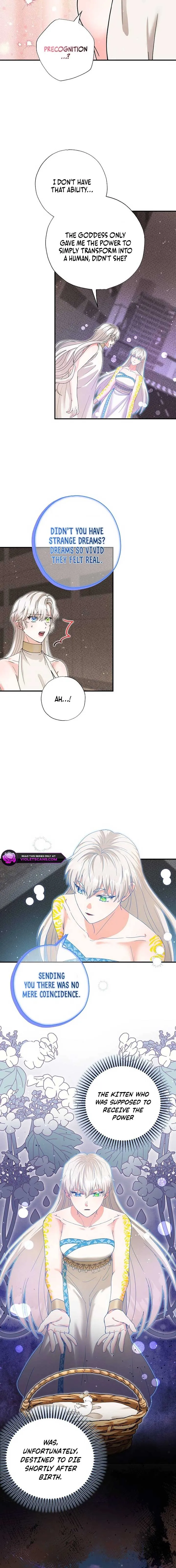 I Became the Emperor’s Cat Chapter 56 Online - página 6
