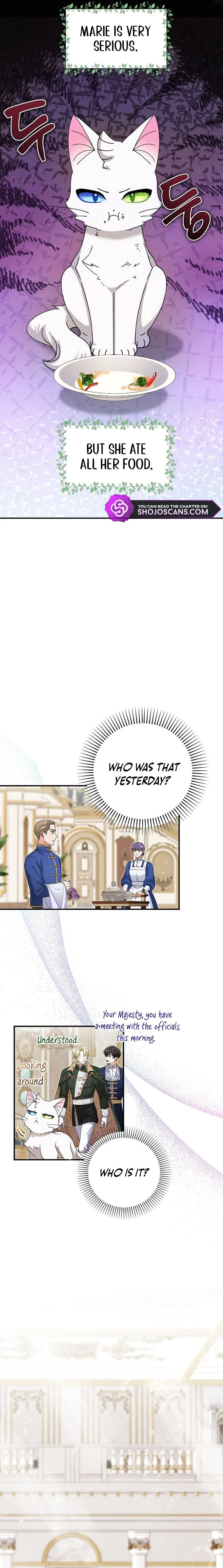 I Became the Emperor’s Cat Chapter 6 Online - página 9